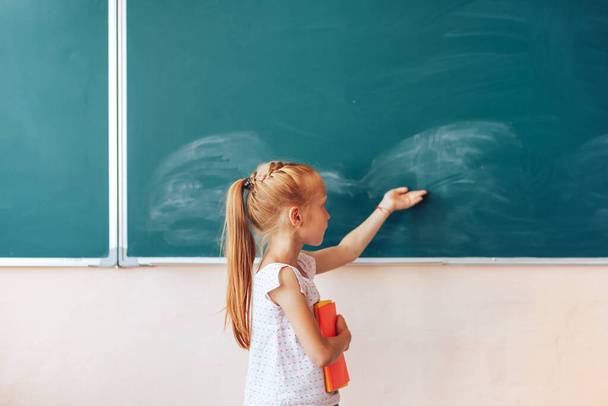 Little schoolgirl stands near the chalkboard, back to school, children education. - Photo, Image