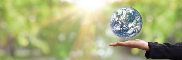 Концепция окружающей среды Земля в руке на зеленом фоне. Элементы этого изображения предоставлены НАСА - Фото, изображение