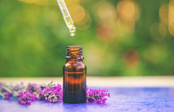 Lavender essential oil in a small bottle. Selective focus.nature. - Photo, Image