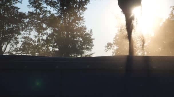 Vista dettagliata sul carico di grano raccolto nel rimorchio del camion. Luminosa luce del tramonto che brilla attraverso i chicchi secchi gialli cadenti di grano. Bello sfondo. Concetto di raccolta o agronomia. Lento mo - Filmati, video