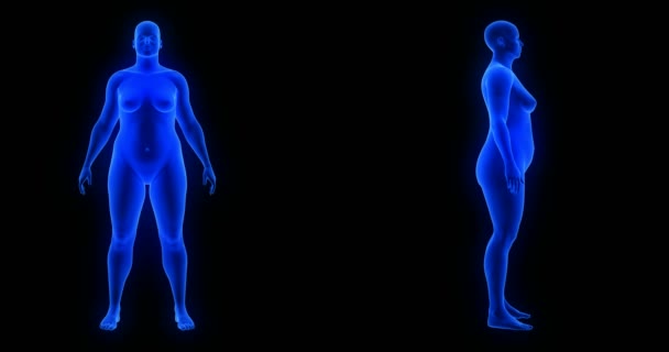 Hubnutí tělo transformace - přední a boční pohled, ženské téma. Modrá lidská anatomie Tělo 3D skenování, černé pozadí - Záběry, video