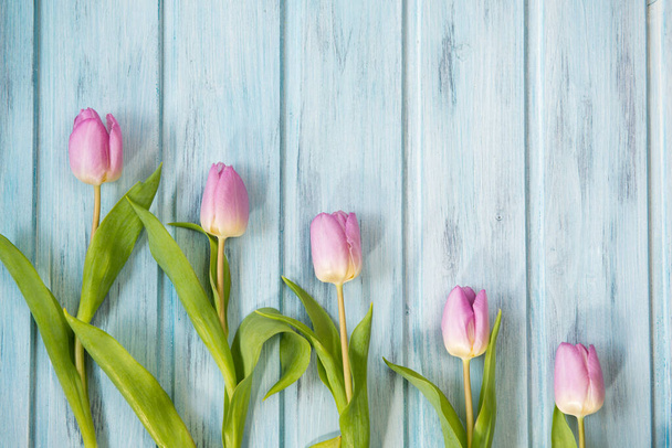 Row of bright pink tulips on blue wooden background, top view - Photo, Image