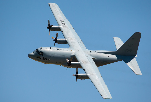 grey military Hercules cargo plane - Photo, Image