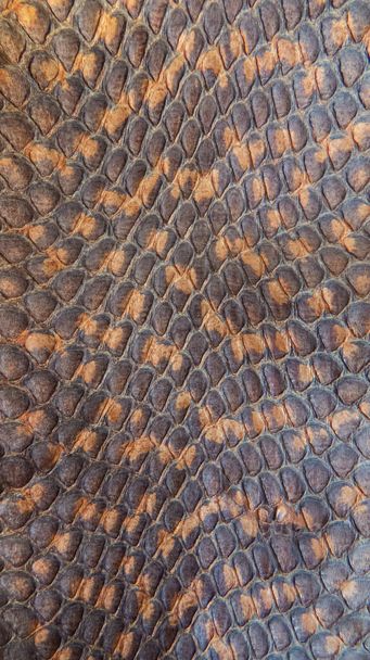 Snake brown skin texture as vertical background. Top wiev. Macro. - Photo, Image