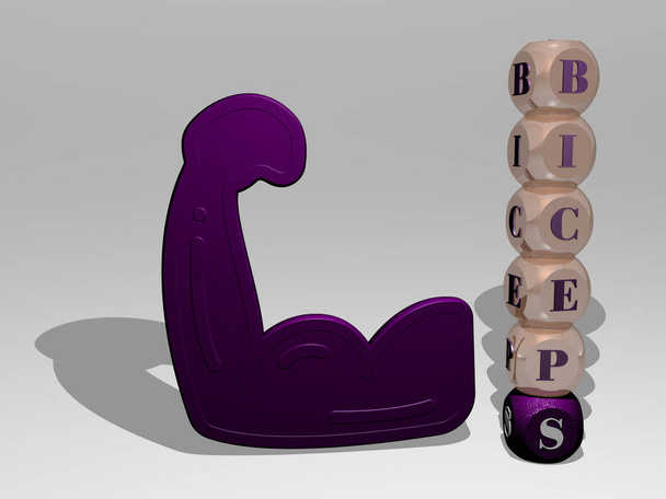 3D-weergave van BICEPS met icoon op de muur en tekst gerangschikt door metalen kubieke letters op een spiegelvloer voor concept betekenis en diavoorstelling presentatie. Lichaam en atleet - Foto, afbeelding