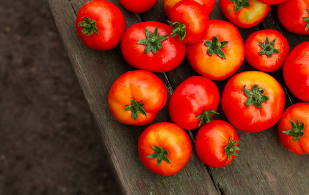 Köy ahşap masadaki çiftlikten taze organik domatesler. Biyolojik ve ekolojik gıda - Fotoğraf, Görsel