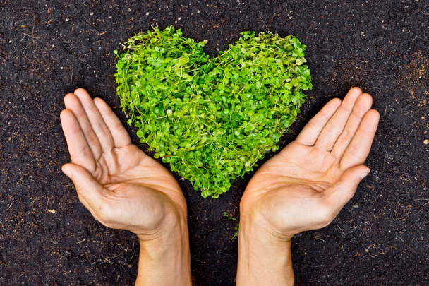 Mãos segurando árvore em forma de coração verde
 - Foto, Imagem