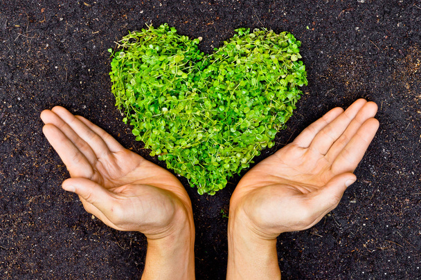 Kädet sylissä vihreä sydämen muotoinen puu
 - Valokuva, kuva