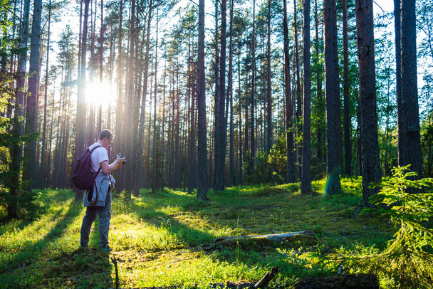 Photographer stands in a beautiful green forest. - Fotoğraf, Görsel