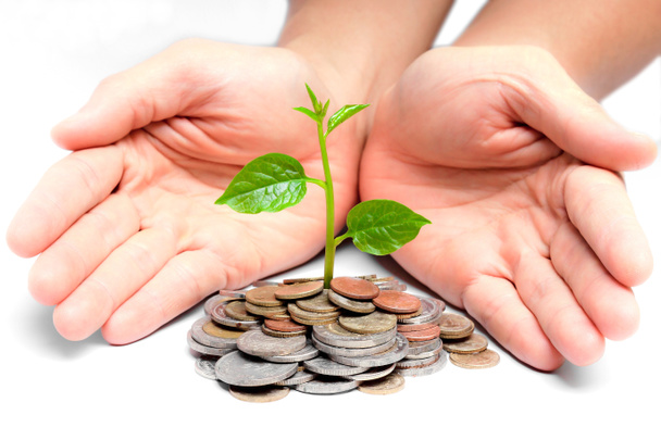 Hands holding tress growing on coins - Photo, Image