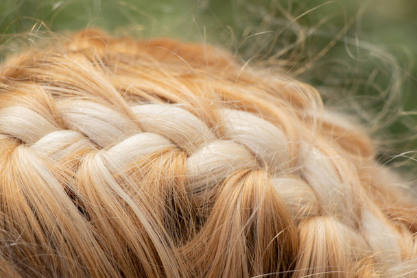 punottu spikelet päähän nuori blondi tyttö lähikuva - Valokuva, kuva