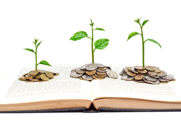 bomen groeien uit boeken met munten - Foto, afbeelding