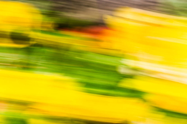 Κλείσε. Θολή κίνηση παρτέρια, αφηρημένη εικόνα φόντου. Κίτρινα και πράσινα λουλούδια φόντο.  - Φωτογραφία, εικόνα