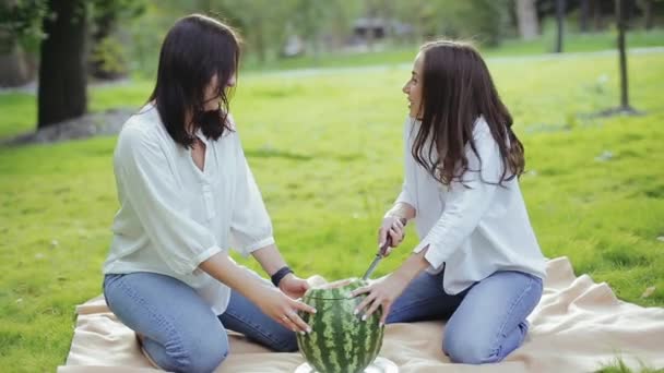 Close-up view of happy and soapy girls sitting on bedspread over grass in park and cutting and eating watermelon in summer on sunny day. Two girlfriends spend active way of life and leisure outside. - Filmmaterial, Video