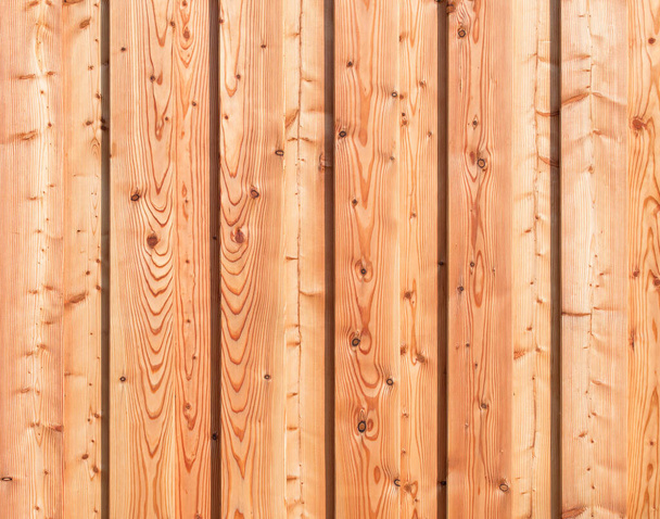 Paneles de madera de pino
 - Foto, Imagen