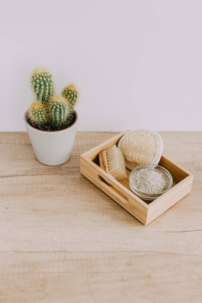 Otthoni ápolási cikkek. Egy doboz gyógynövény, kefe. A háttérben kis kaktuszok. - Fotó, kép