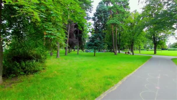 Open City Park in Summer, Trees and Plants, Europe, CZ, Prostejov - Кадри, відео