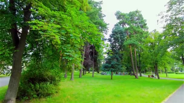 Open City Park in Summer, Trees and Plants, Europe, CZ, Prostejov - Кадри, відео