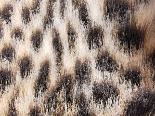 Moda teması ve ev konforu teması için yapay leopar kürkü - Fotoğraf, Görsel