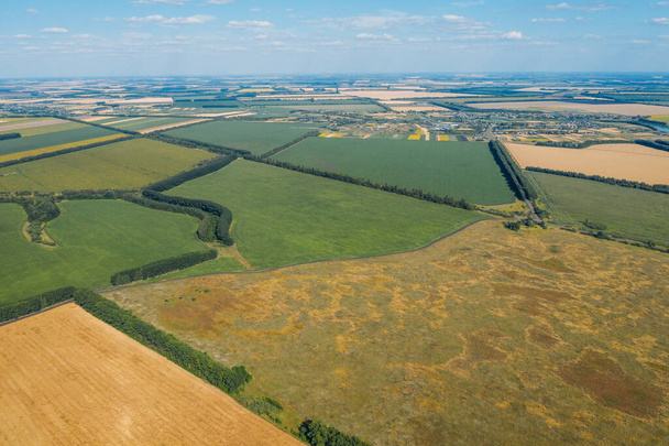Green and yellow harvest fields aerial view, flight above on drone - Fotoğraf, Görsel