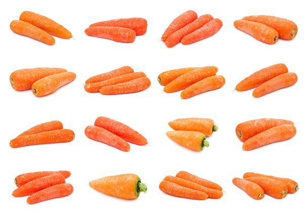 Carrot - Foto, Imagen