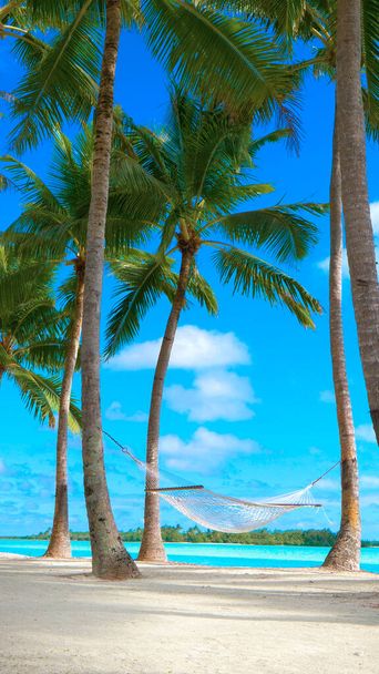 Hamak linowy kołyszący się w łagodnym wietrze wiejącym nad palmami - Zdjęcie, obraz