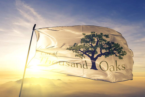 Тисячі дубів каліфорнійського прапора США. - Фото, зображення