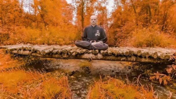 Tijdsverloop meditatie. Een jonge man mediteert op een houten brug, rond de felrode bladeren, herfst. - Video