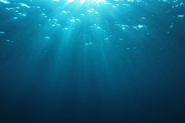 beautiful underwater landscape of the ocean - Foto, imagen