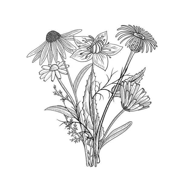 vector drawing floral vintage template - Вектор,изображение