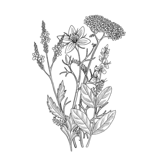 vector drawing floral vintage template - Διάνυσμα, εικόνα