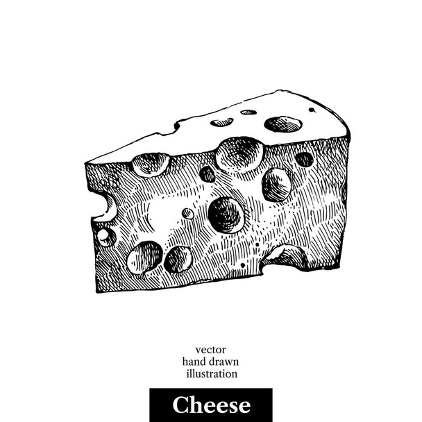 Ζωγραφισμένο στο χέρι κομμάτι τυρί. Διάνυσμα ασπρόμαυρη vintage εικόνα. Μεμονωμένο αντικείμενο σε λευκό φόντο - Διάνυσμα, εικόνα
