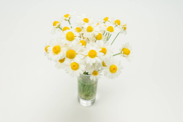 Bouquet of daisies isolated on white background. - Zdjęcie, obraz