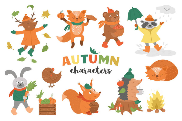 Set of vector autumn characters. Cute woodland animals collection. Fall season icons pack for prints, stickers.  Funny forest illustration of hedgehog, fox, bird, deer, rabbit, bear, raccoon, squirrel. - Vector, Image