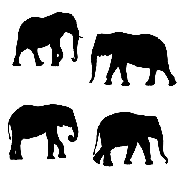 Чёрные силуэты четырёх слонов - Вектор,изображение