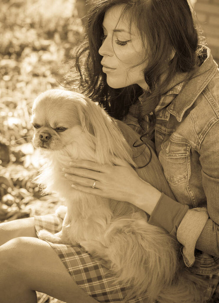 日没の小さな犬で犬と若い女性の散歩真剣に直面して座っている。公園でペット犬の散歩をしている甘い女性 - 写真・画像
