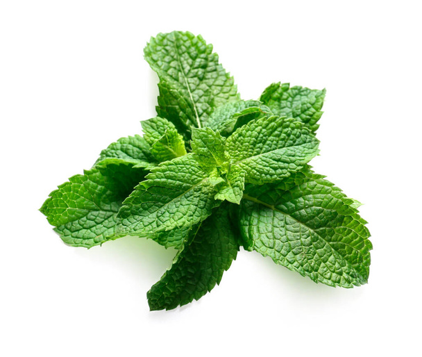 Fresh green mint on white background - Photo, Image
