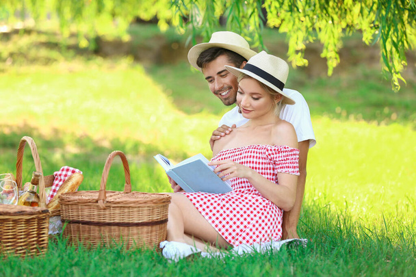 Mutlu genç çift parkta piknik yapıyor. - Fotoğraf, Görsel