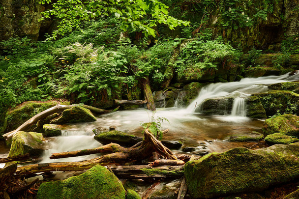 Calm flow of a mountain stream with shores overgrown with greenery. Voievodyn river, Sokolovi Skeli Reserve, Zakarpattia (Transcarpathia), Ukrainian Carpathians - Photo, Image