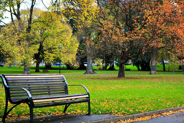 Treasury gardens Park bench - Fotografie, Obrázek