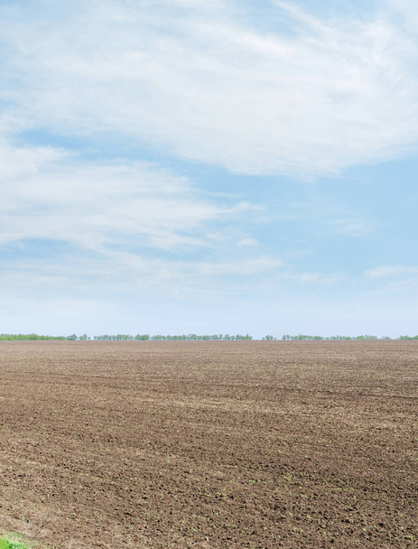 μαύρο τομέα της γεωργίας και μπλε ουρανό με σύννεφα - Φωτογραφία, εικόνα