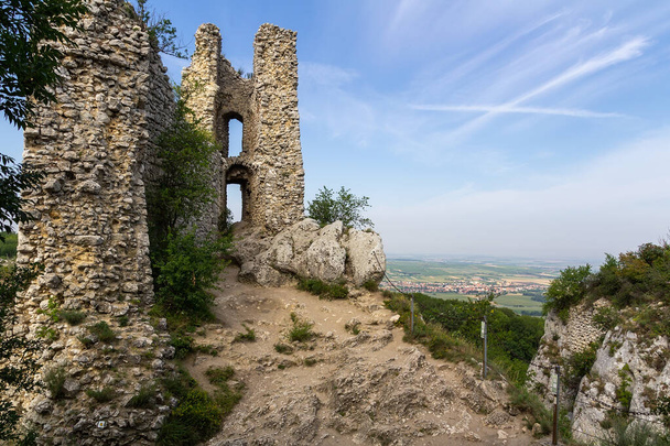 Sirotci castle. Ruin of gothic castle in south moravia, Palava Czech republic - Photo, Image
