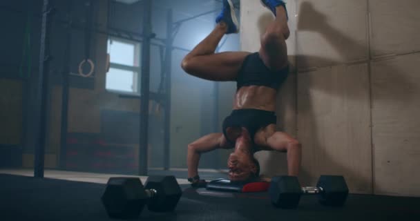 una mujer fuerte realiza flexiones verticales de pie sobre su cabeza en el gimnasio. realizar push-UPS al revés. empuje-UPS contra la pared al revés
 - Imágenes, Vídeo