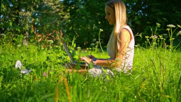 Young girl sitting on the meadow at summer time and typing on laptop - Video