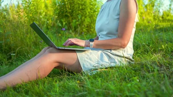 Young girl sitting on the meadow at summer time and typing on laptop - Felvétel, videó