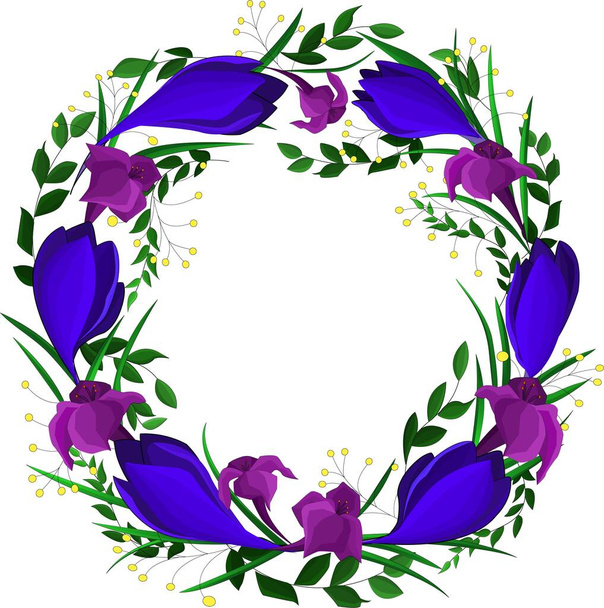 wreath of crocus flowers and green leaves - Vector, Image