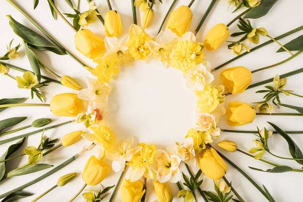 Round frame wreath made of yellow narcissus and tulip flowers on white background. Flat lay, top view floral blank copy space mockup template - Foto, imagen