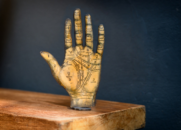 Old Tarot hand showing the zones and palmistry markings of the palm and fingers standing upright on a wooden shelf against a dark wall with copyspace - Φωτογραφία, εικόνα