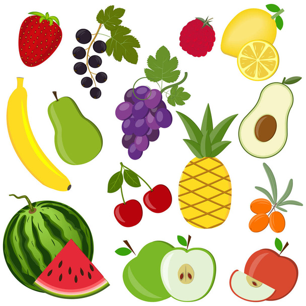 joukko hedelmiä ja marjoja eristetty valkoisella taustalla, väri vektori kuvitus, suunnittelu, koristelu - Vektori, kuva