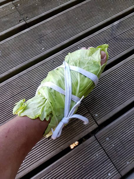 Wrapped  legs with white cabbage leaves.Cabbage Leaves Can Pull Out Diseases From Our Body. Wrapping leg in cabbage for pain relief - Photo, Image
